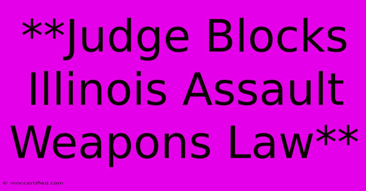 **Judge Blocks Illinois Assault Weapons Law** 