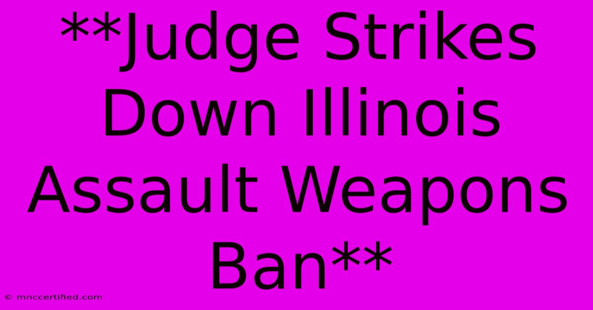 **Judge Strikes Down Illinois Assault Weapons Ban** 