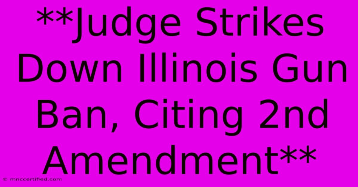 **Judge Strikes Down Illinois Gun Ban, Citing 2nd Amendment**