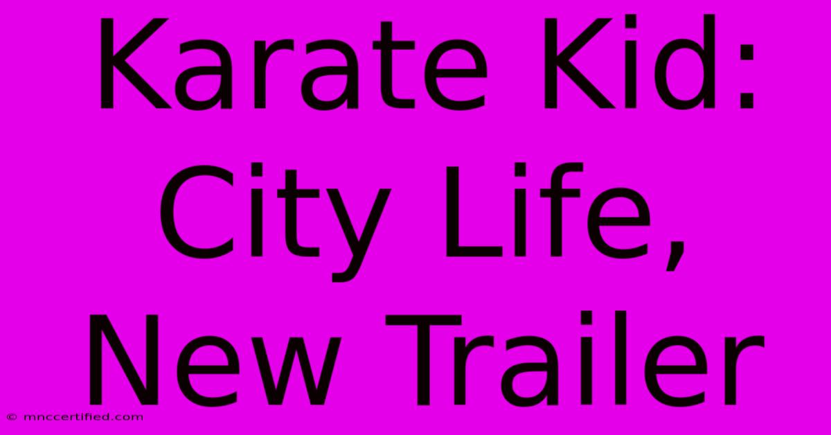 Karate Kid: City Life, New Trailer