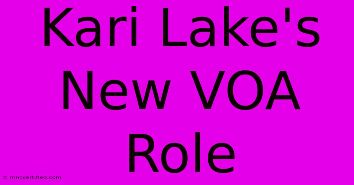 Kari Lake's New VOA Role