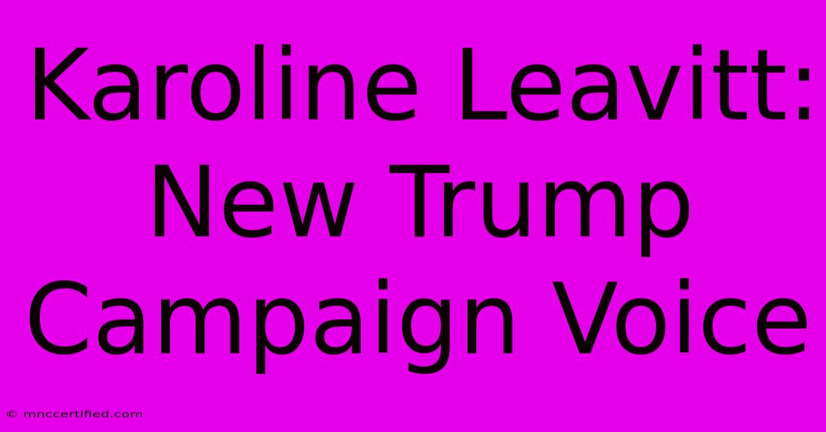 Karoline Leavitt:  New Trump Campaign Voice