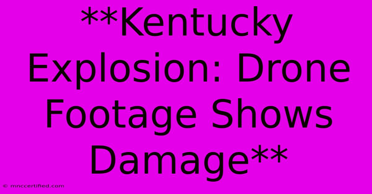 **Kentucky Explosion: Drone Footage Shows Damage**