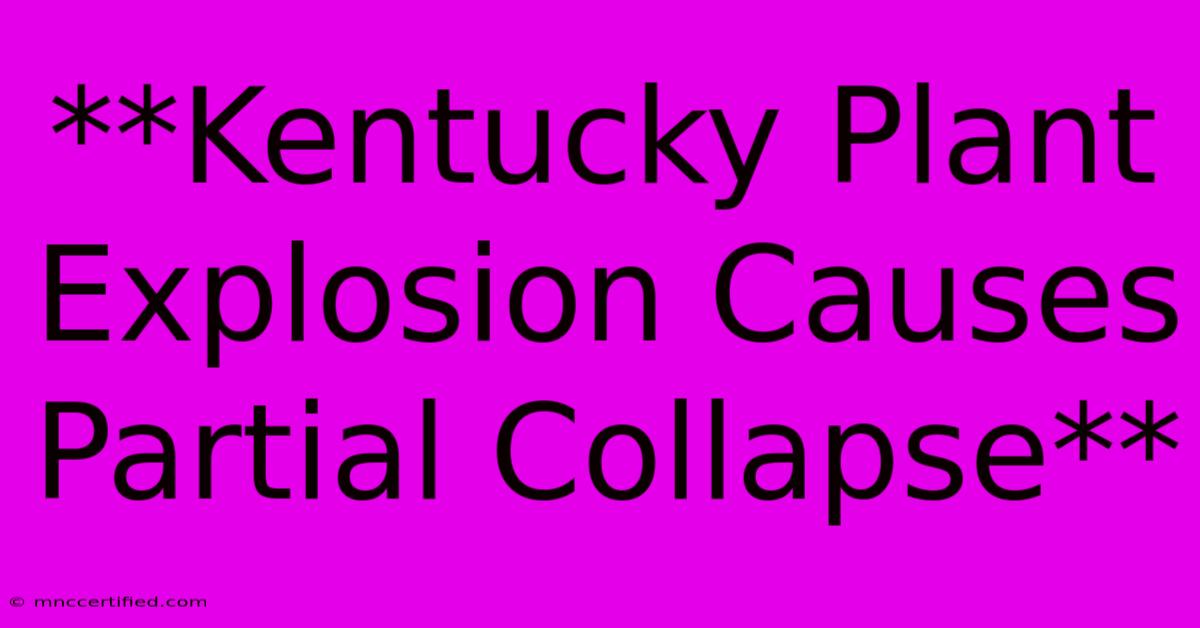 **Kentucky Plant Explosion Causes Partial Collapse**