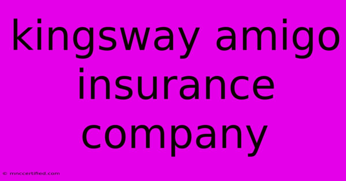 Kingsway Amigo Insurance Company