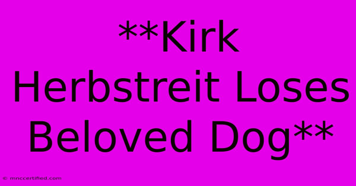 **Kirk Herbstreit Loses Beloved Dog**