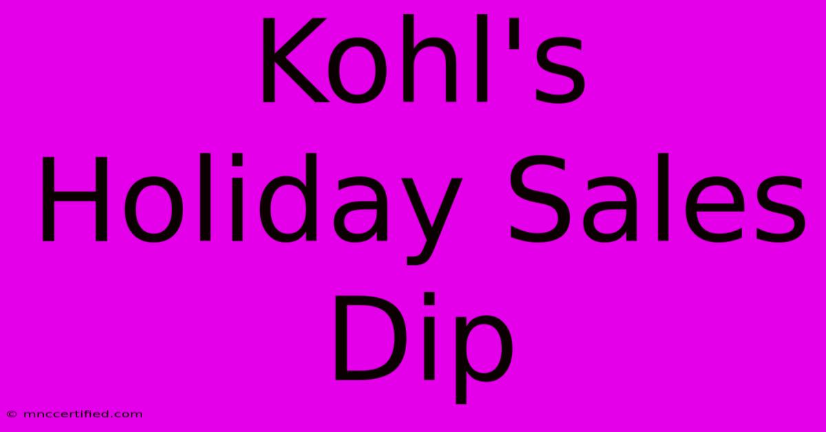 Kohl's Holiday Sales Dip