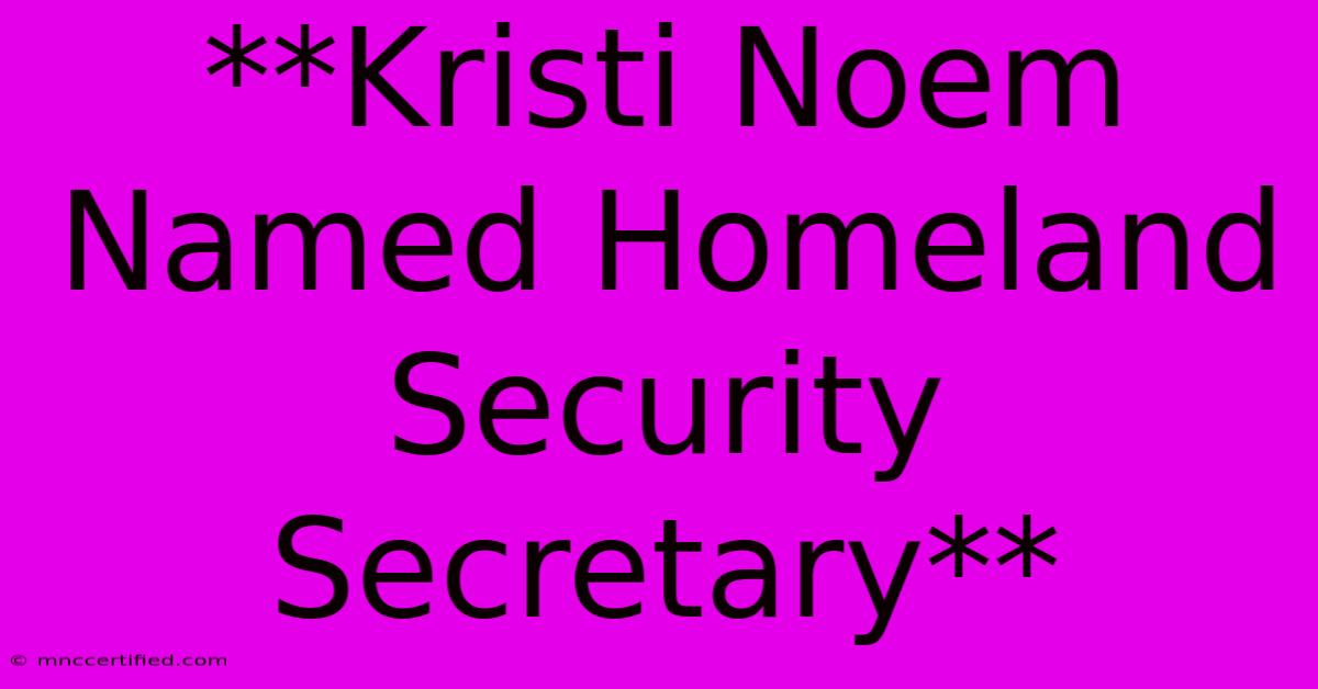 **Kristi Noem Named Homeland Security Secretary**