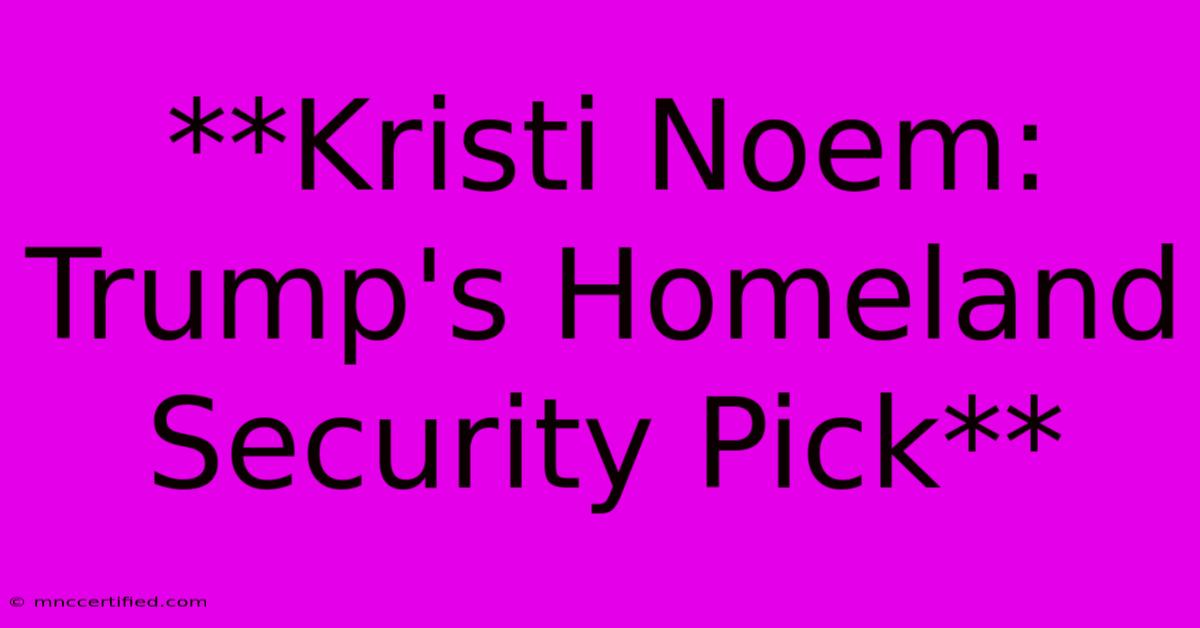 **Kristi Noem: Trump's Homeland Security Pick** 