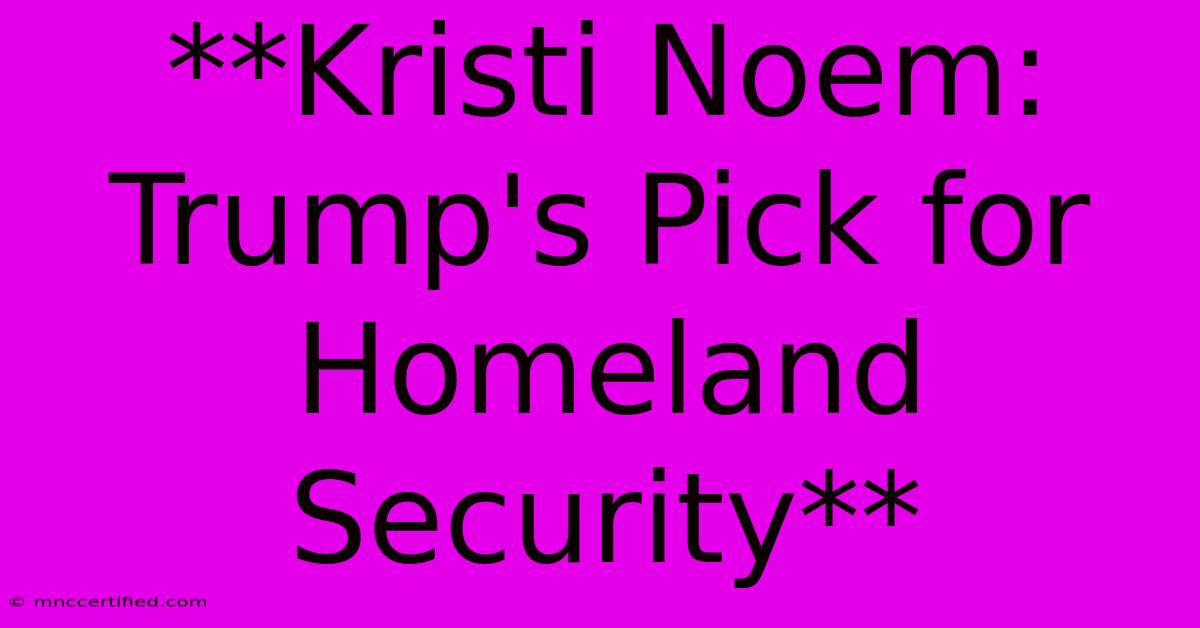 **Kristi Noem: Trump's Pick For Homeland Security**