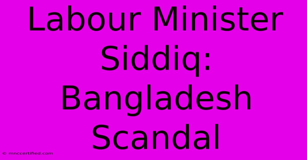 Labour Minister Siddiq: Bangladesh Scandal