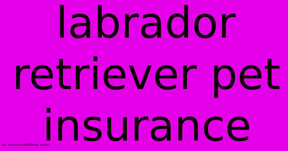 Labrador Retriever Pet Insurance