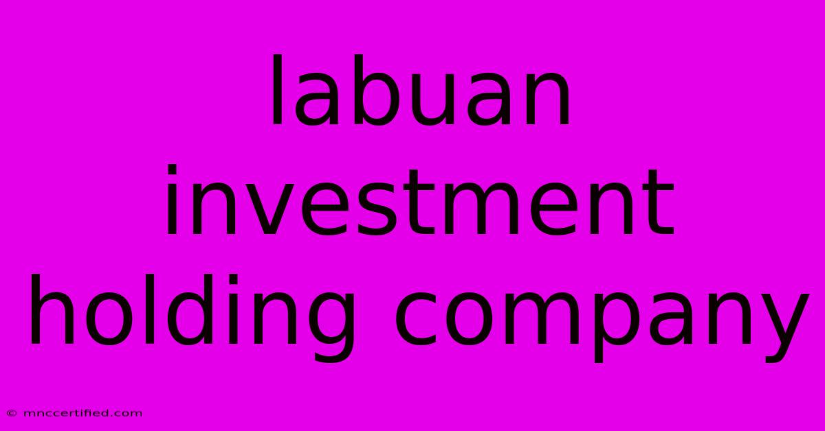 Labuan Investment Holding Company