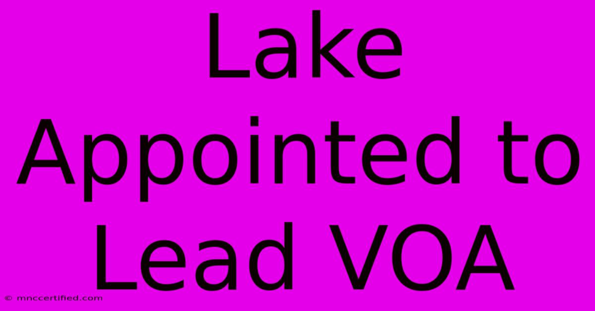 Lake Appointed To Lead VOA