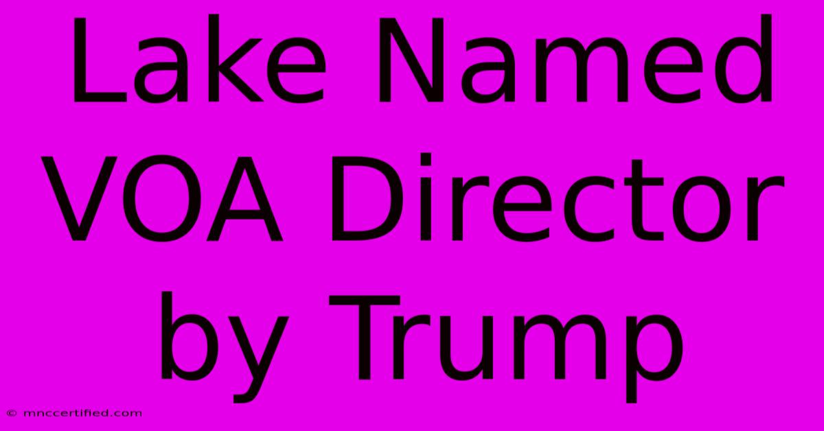 Lake Named VOA Director By Trump