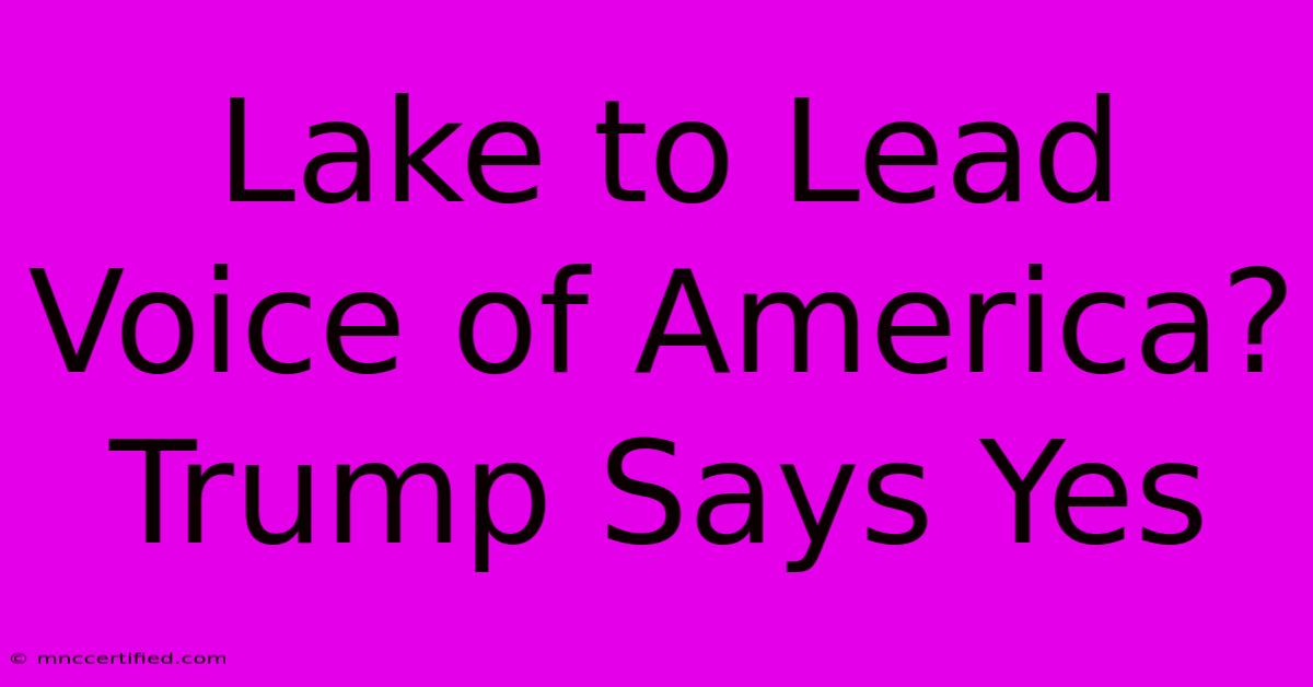 Lake To Lead Voice Of America? Trump Says Yes