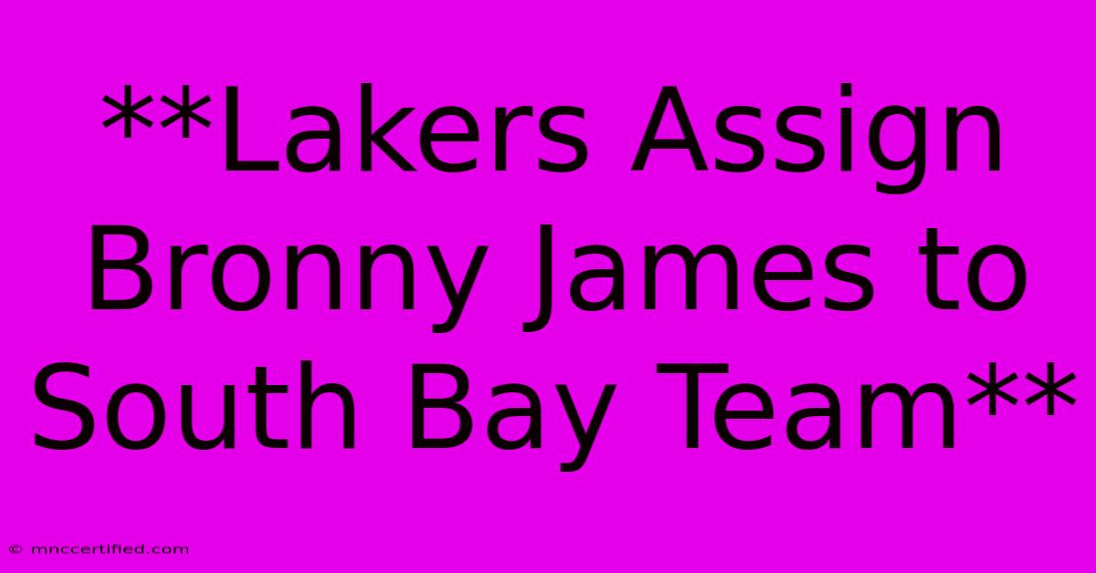 **Lakers Assign Bronny James To South Bay Team** 