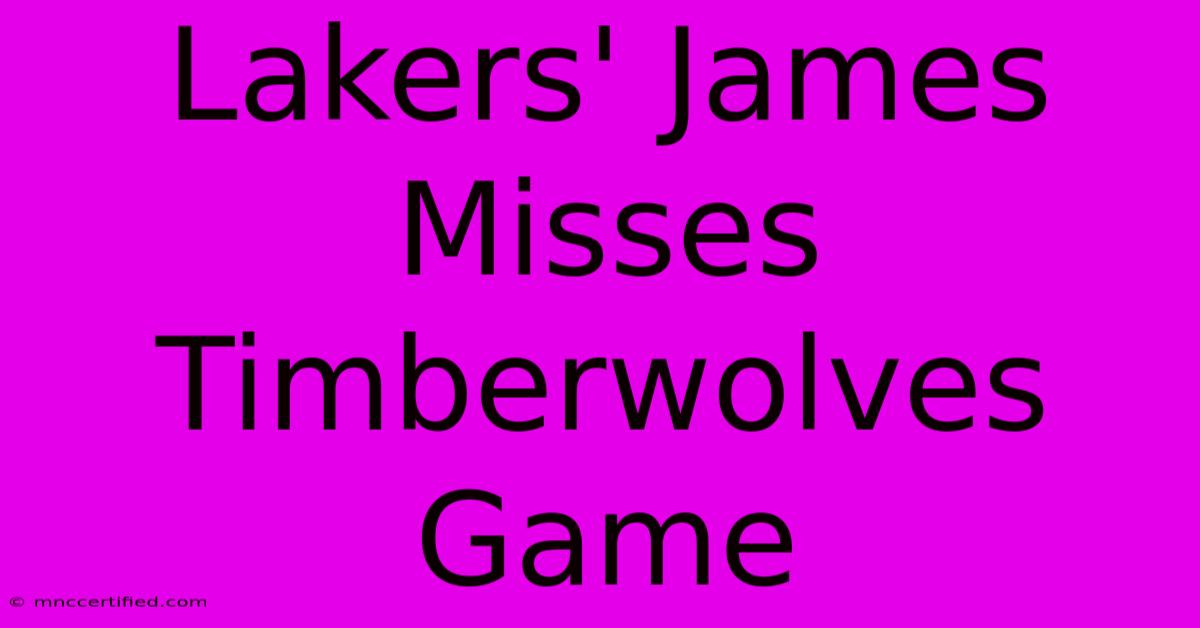 Lakers' James Misses Timberwolves Game