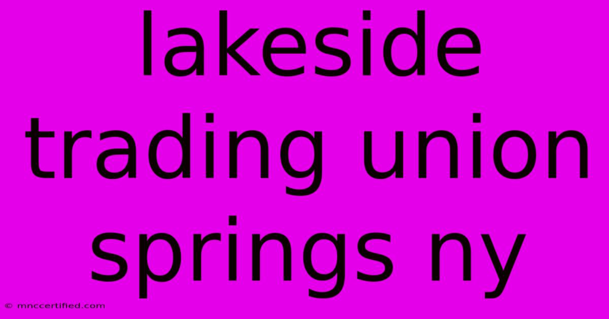 Lakeside Trading Union Springs Ny