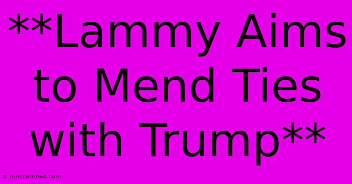 **Lammy Aims To Mend Ties With Trump**