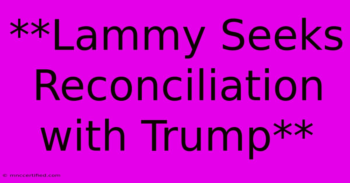 **Lammy Seeks Reconciliation With Trump**