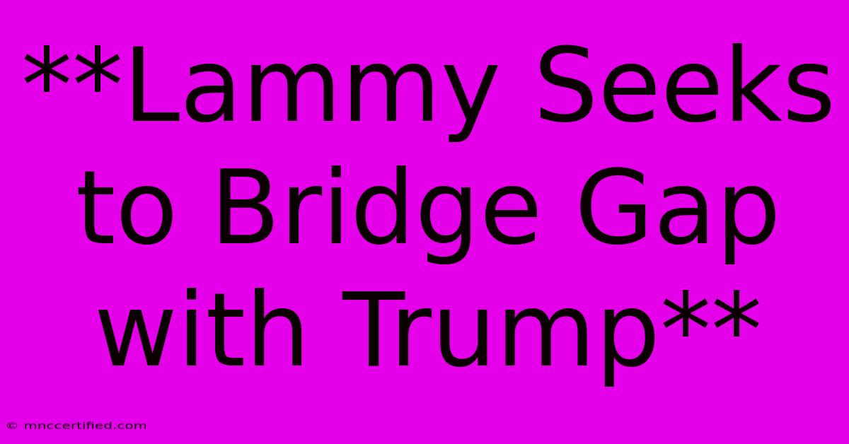 **Lammy Seeks To Bridge Gap With Trump** 