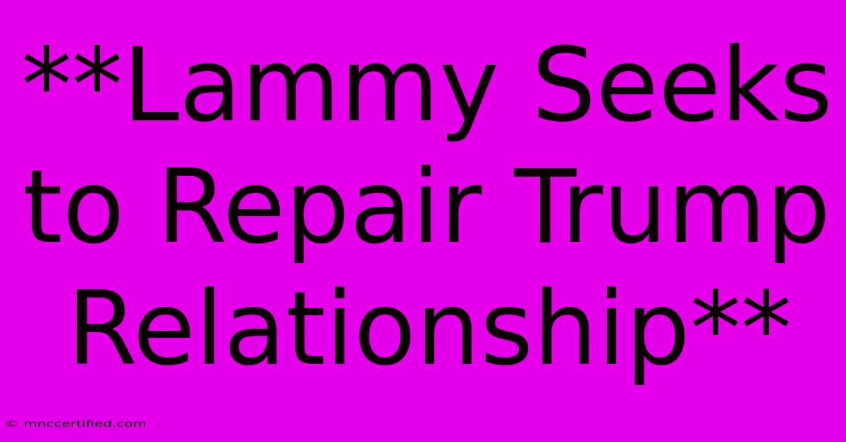 **Lammy Seeks To Repair Trump Relationship**