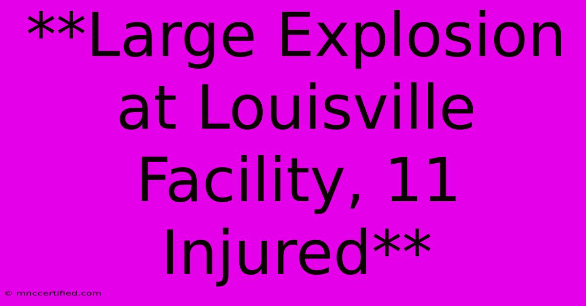 **Large Explosion At Louisville Facility, 11 Injured**