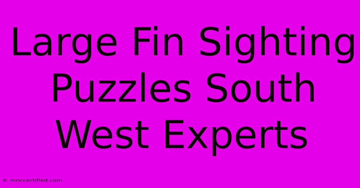 Large Fin Sighting Puzzles South West Experts