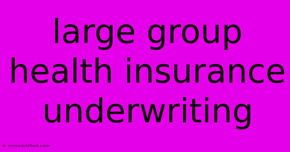 Large Group Health Insurance Underwriting