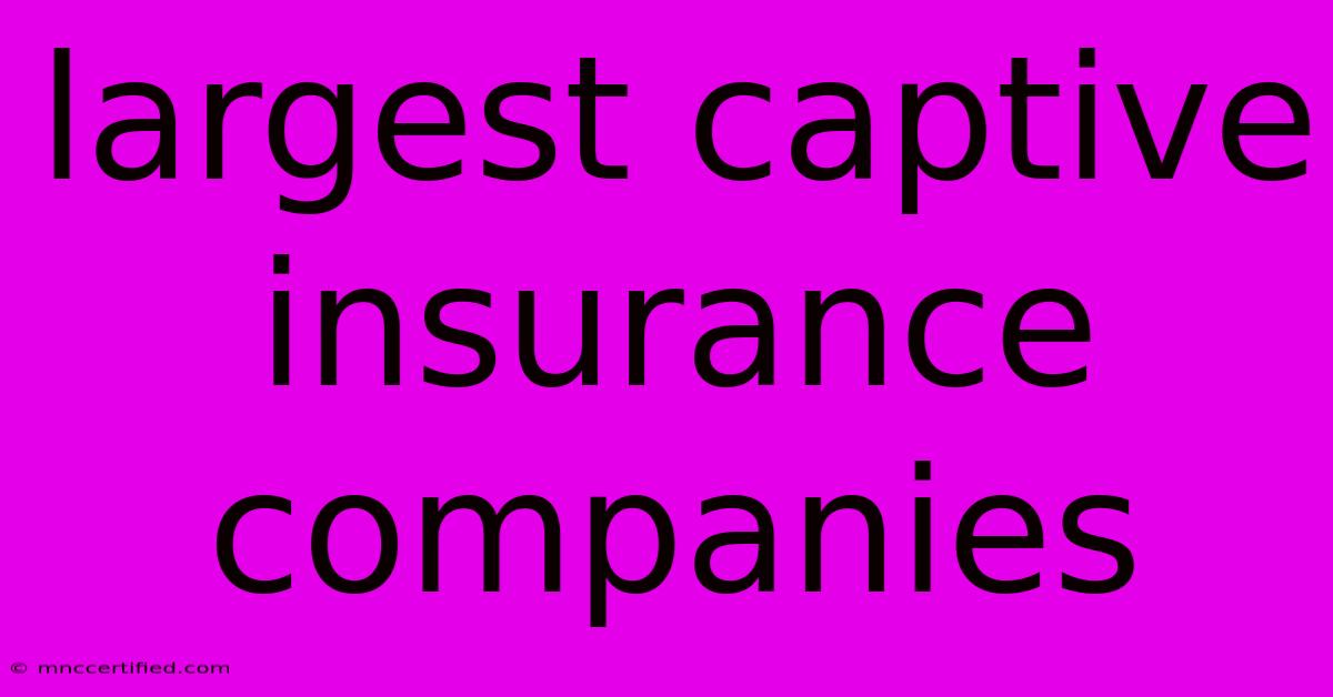 Largest Captive Insurance Companies