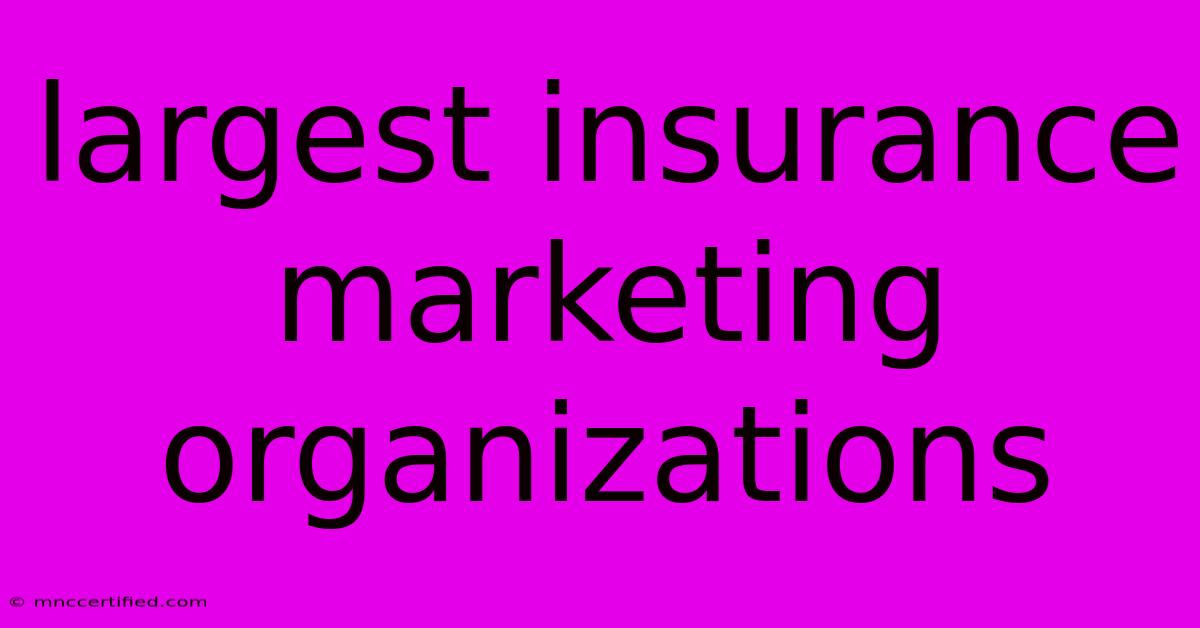 Largest Insurance Marketing Organizations