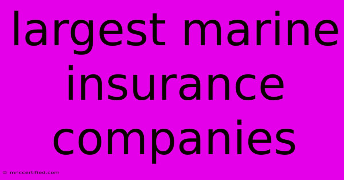 Largest Marine Insurance Companies