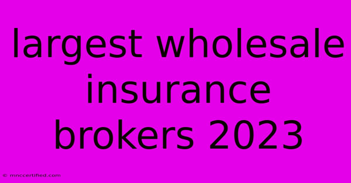 Largest Wholesale Insurance Brokers 2023