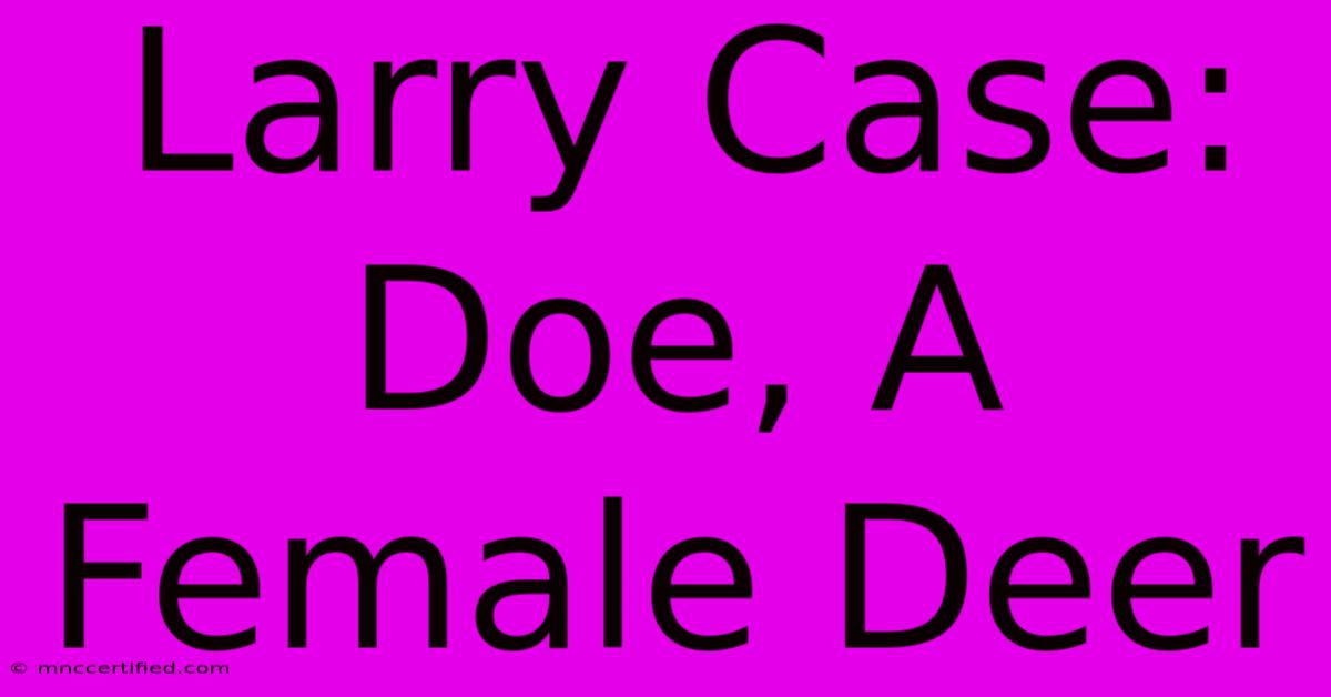 Larry Case: Doe, A Female Deer