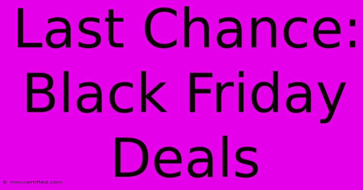 Last Chance: Black Friday Deals