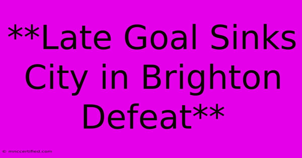 **Late Goal Sinks City In Brighton Defeat**