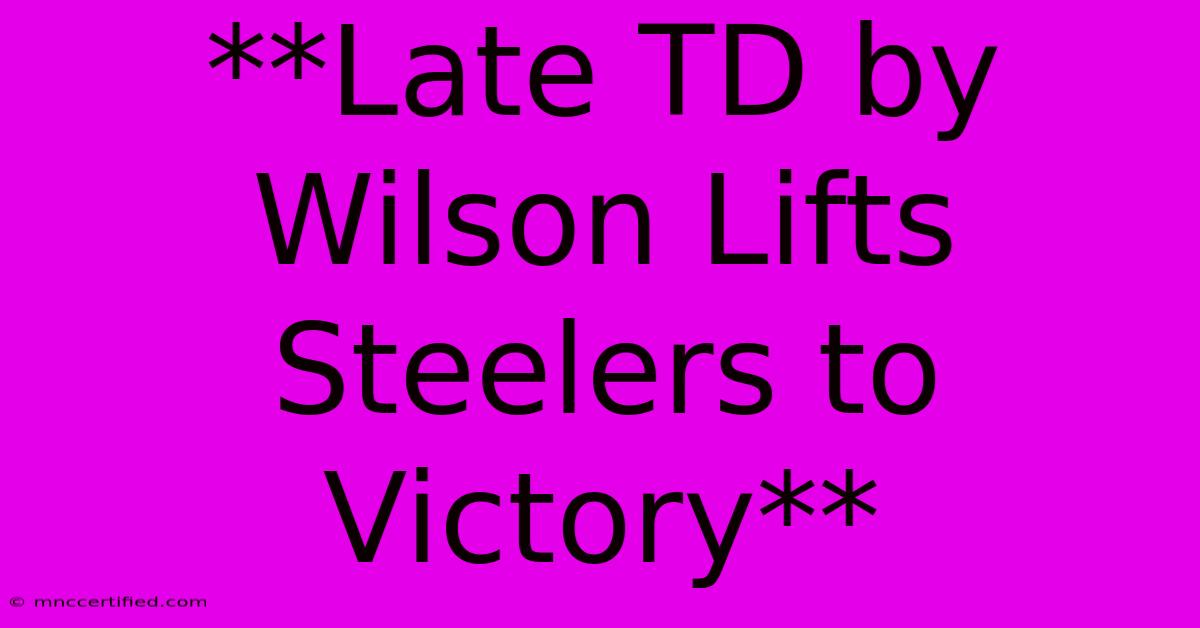 **Late TD By Wilson Lifts Steelers To Victory**