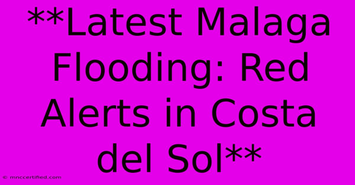 **Latest Malaga Flooding: Red Alerts In Costa Del Sol**