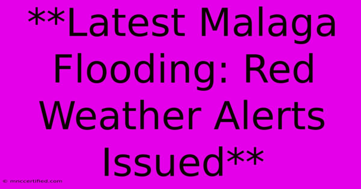 **Latest Malaga Flooding: Red Weather Alerts Issued**