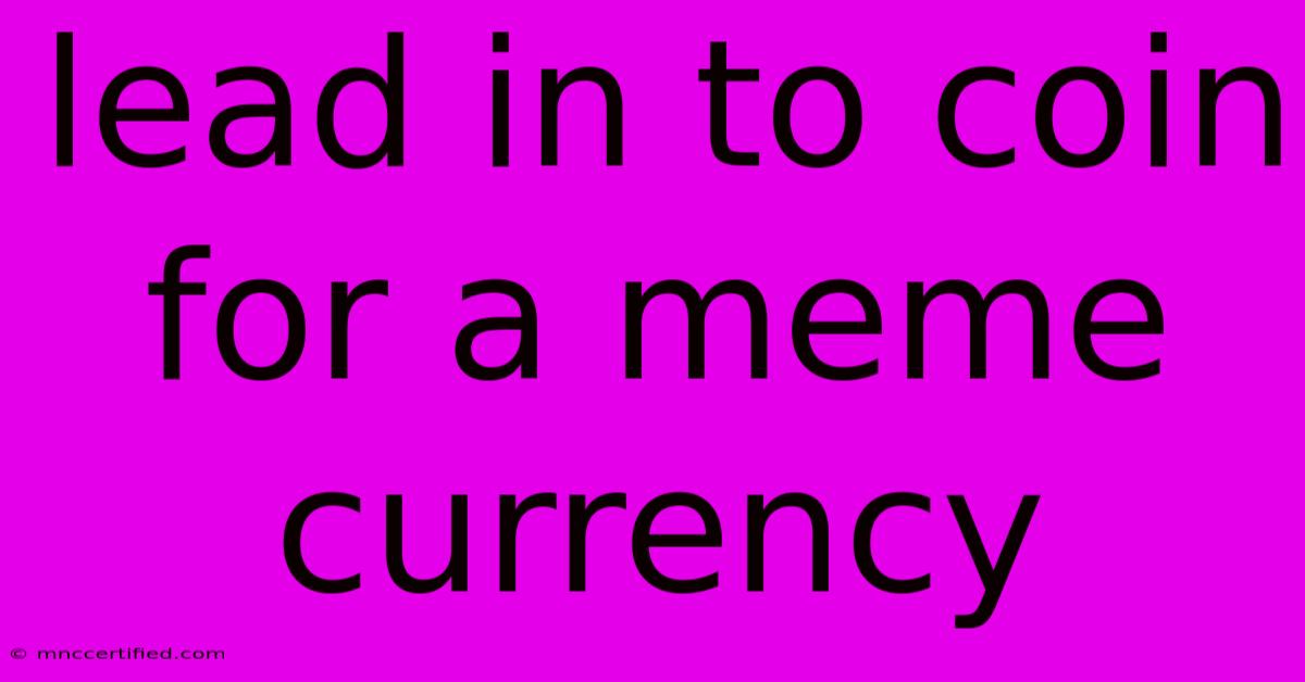 Lead In To Coin For A Meme Currency