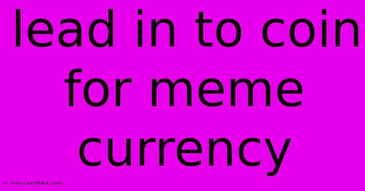 Lead In To Coin For Meme Currency