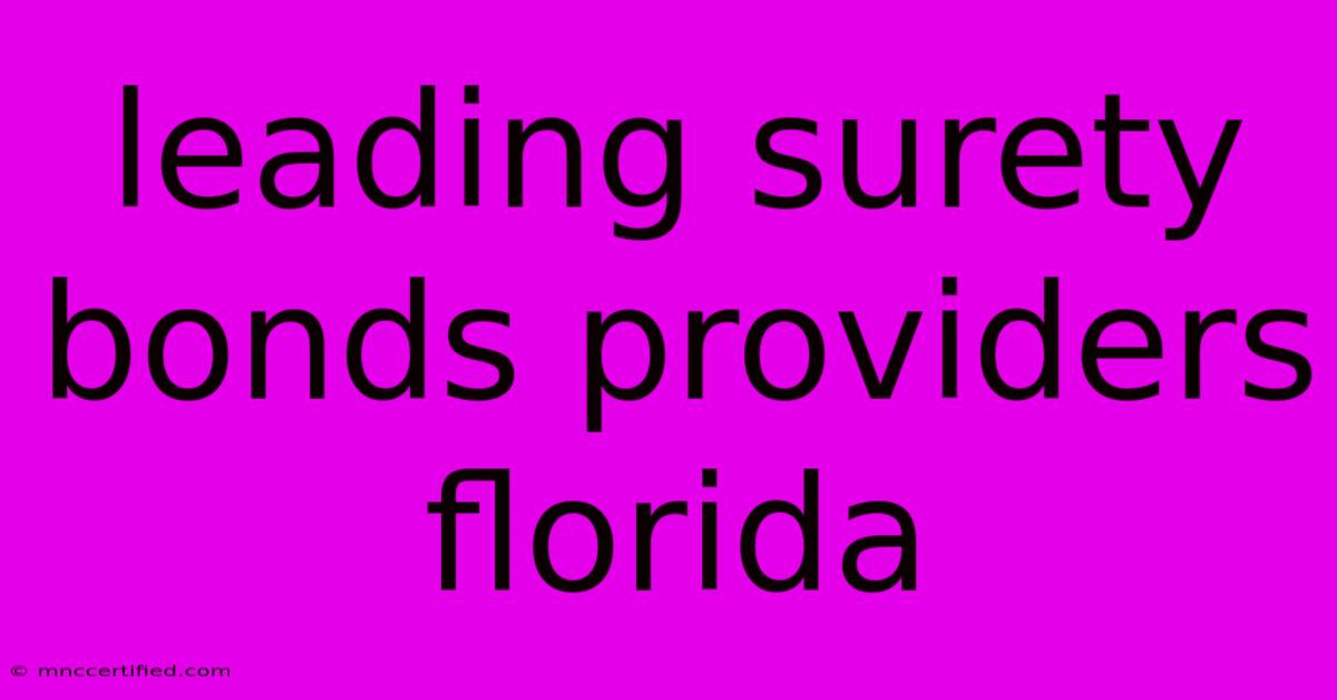 Leading Surety Bonds Providers Florida