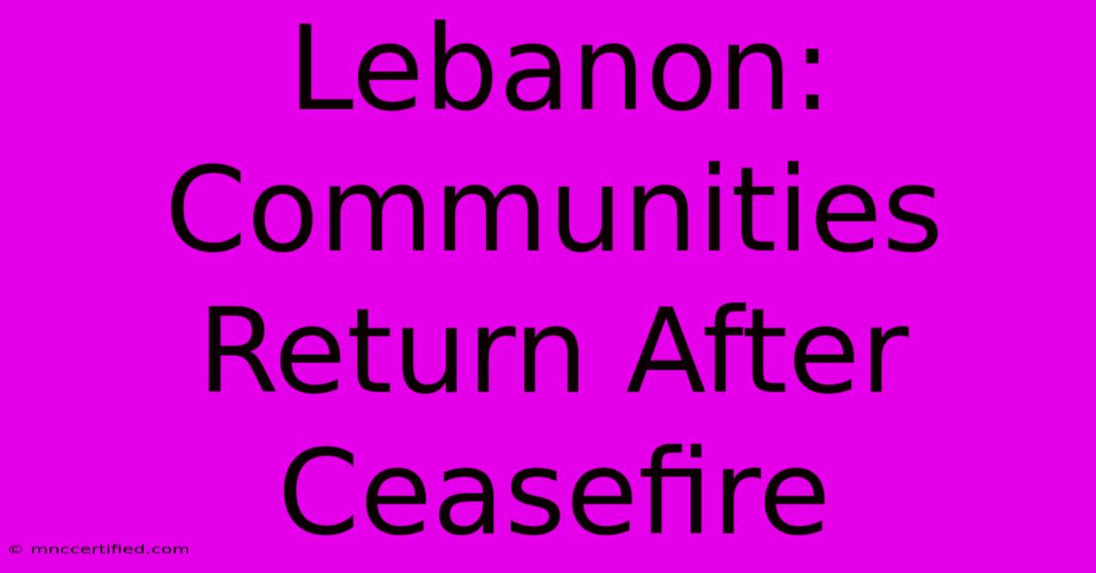 Lebanon: Communities Return After Ceasefire