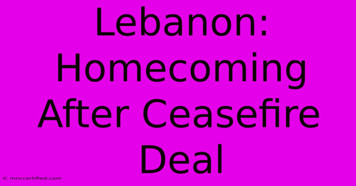 Lebanon: Homecoming After Ceasefire Deal