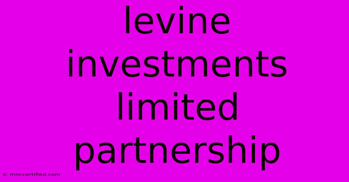 Levine Investments Limited Partnership