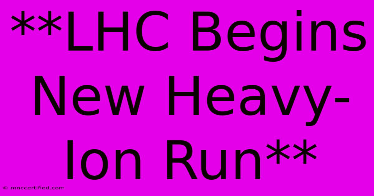 **LHC Begins New Heavy-Ion Run**