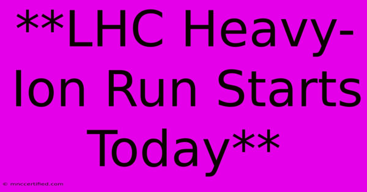 **LHC Heavy-Ion Run Starts Today**