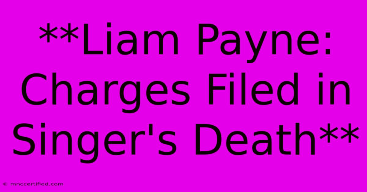 **Liam Payne: Charges Filed In Singer's Death** 