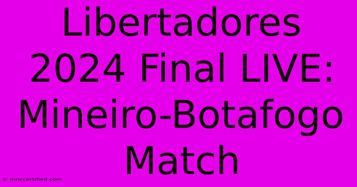 Libertadores 2024 Final LIVE: Mineiro-Botafogo Match